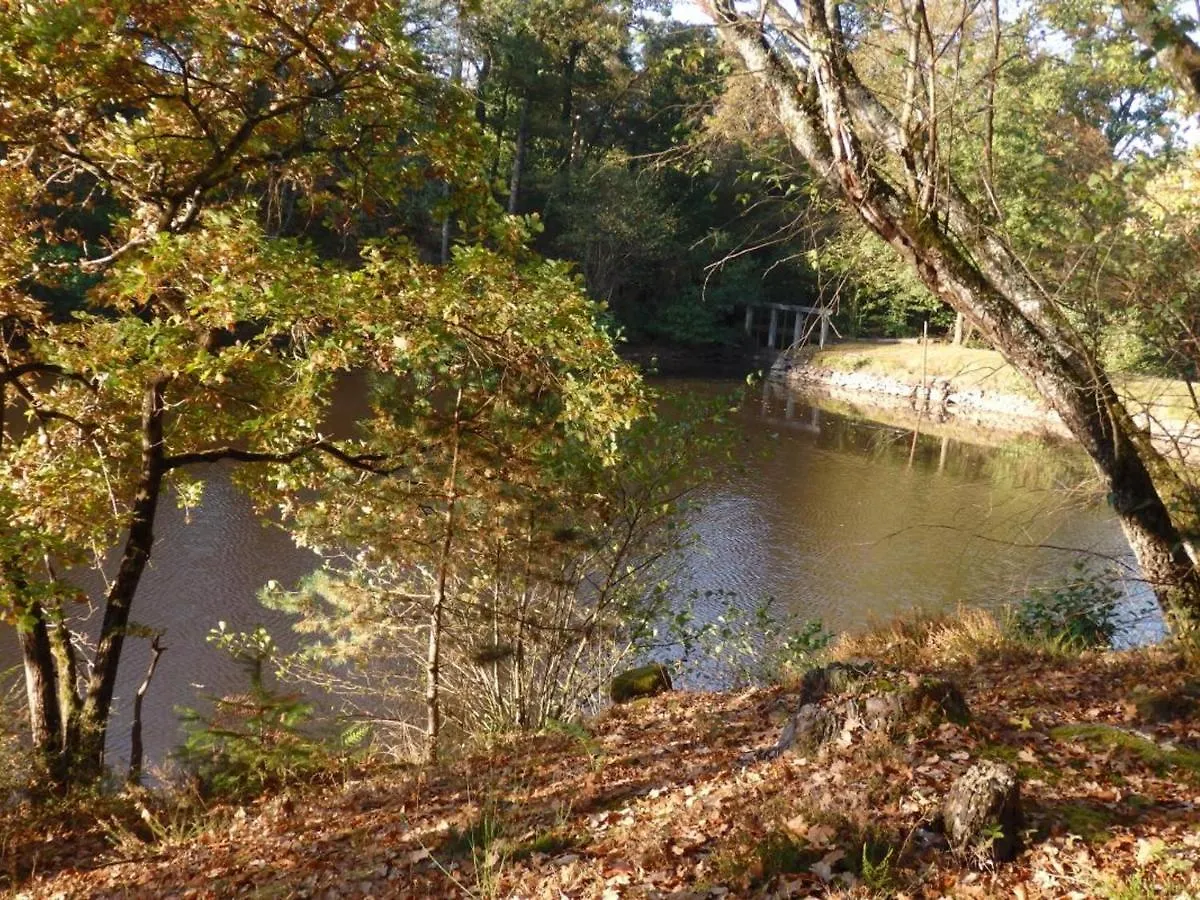 Vila Gite Familial Avec Cascade, Peche, Activites Et Proximite De Vichy - Fr-1-489-21 Barrais-Bussolles Francie